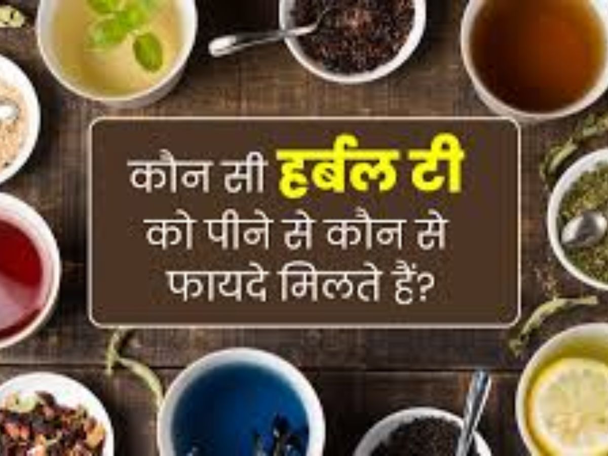 Health tips: पीरियड्स में कर रहे ट्रैवल ? तो रखें इन बातों का विशेष ध्यान, नहीं तो हो सकता है भारी नुकसान