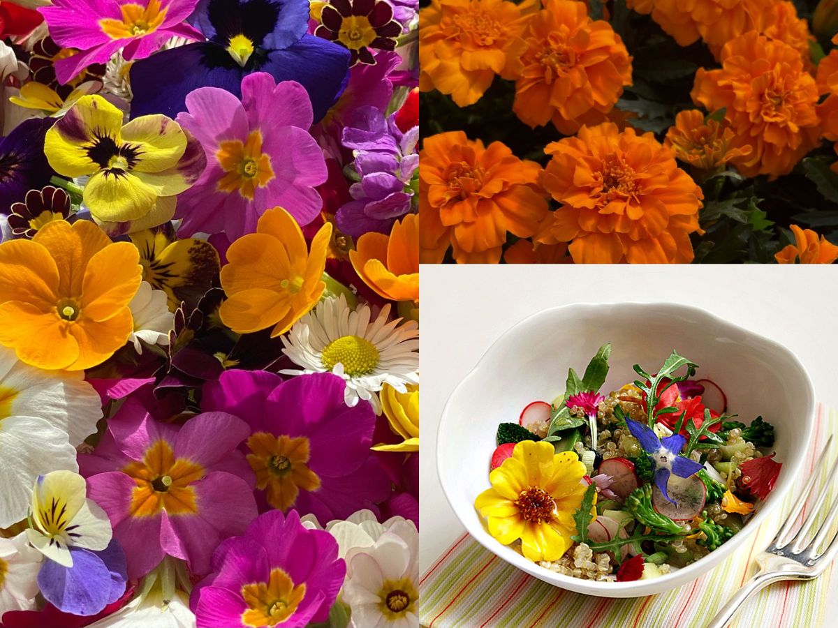 क्या आपको भी 8 घंटे की नींद के बाद भी होती हैं थकान? तो जाने कौन से फूड्स है आपके लिए मददगार