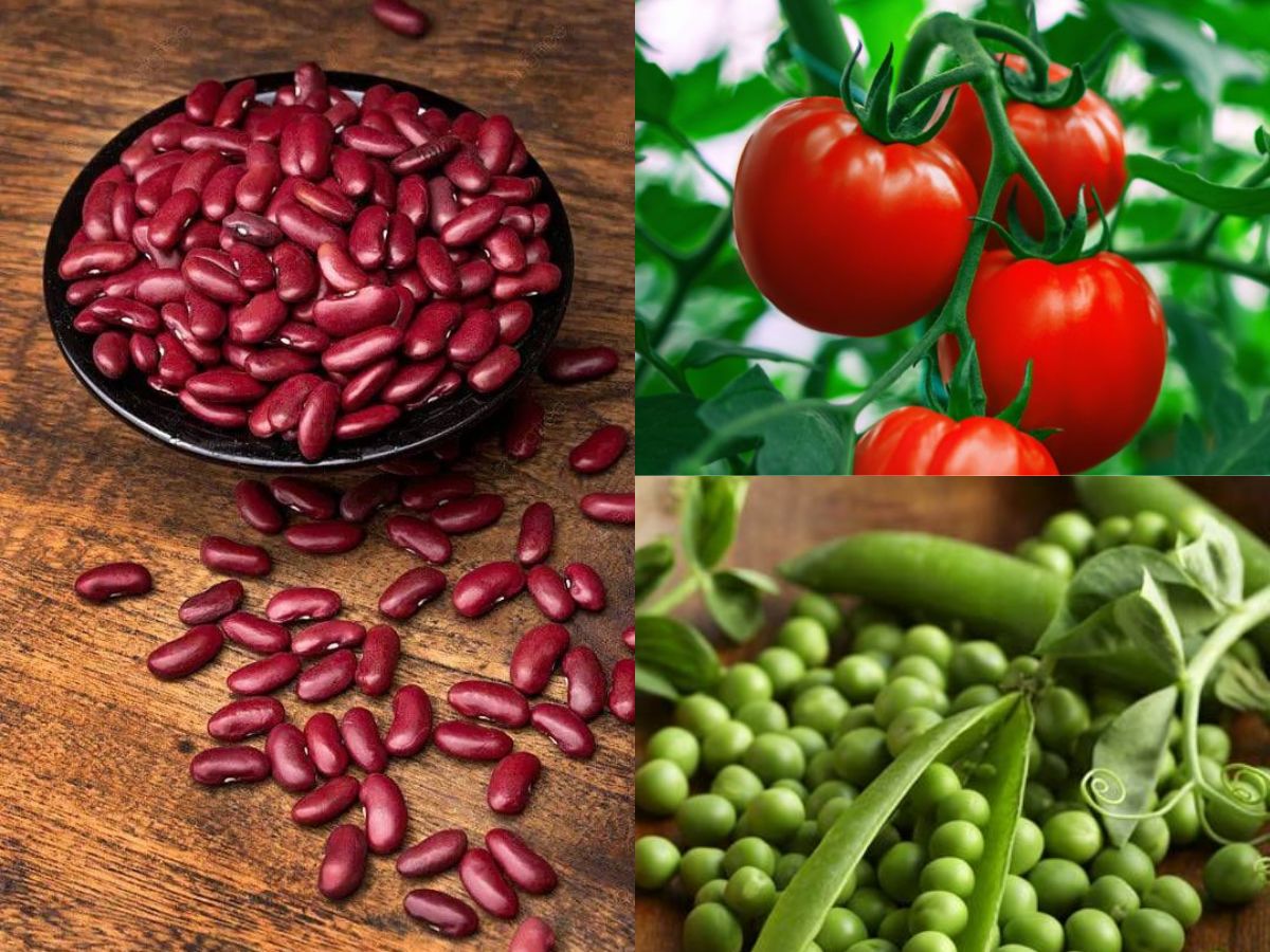 Anti-aging foods: बढ़ती उम्र को कहना है अलविदा ? तो अपनी डाइट में शामिल करे ये 5 चीज़े