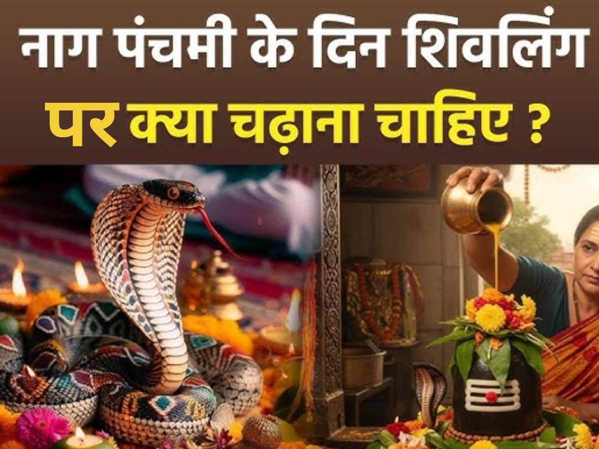 इस नाग पंचमी पर करनी है अपनी समस्याएँ दूर ? तो भगवान शिव को इन वस्तुओं से करे नियोछावर।