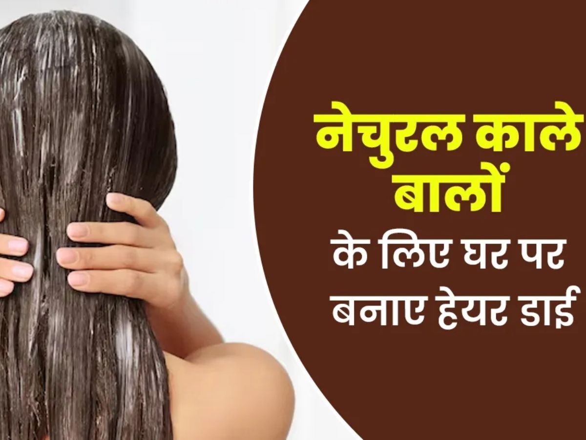 बालों की बढ़ती उम्र पर लगाना है फुल स्टॉप ? 6 ऐसे तरीके जिनसे आपके बाल होंगे फिरसे जवान वो भी बिना किसी केमिकल के ।