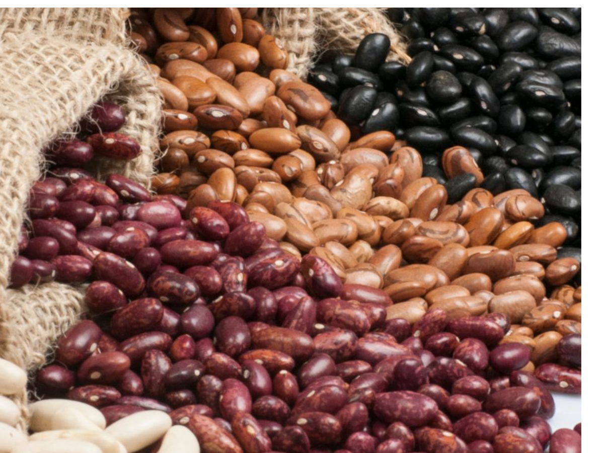 eat-these-protein-rich-options-regularly-to-support-muscle-repair-pluses-whole-grain मांसपेशियों को बनना चाहते हो मजबूत ?तो आज ही डायट मे शामिल करे ये प्रोटीन से भरपूर फूड - Photo Gallery