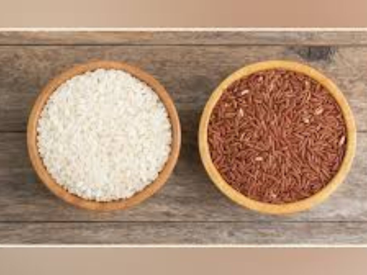 White Rice vs Brown Rice: फैट लॉस प्लान में कौन है हीरो और कौन है विलेन? - Photo Gallery