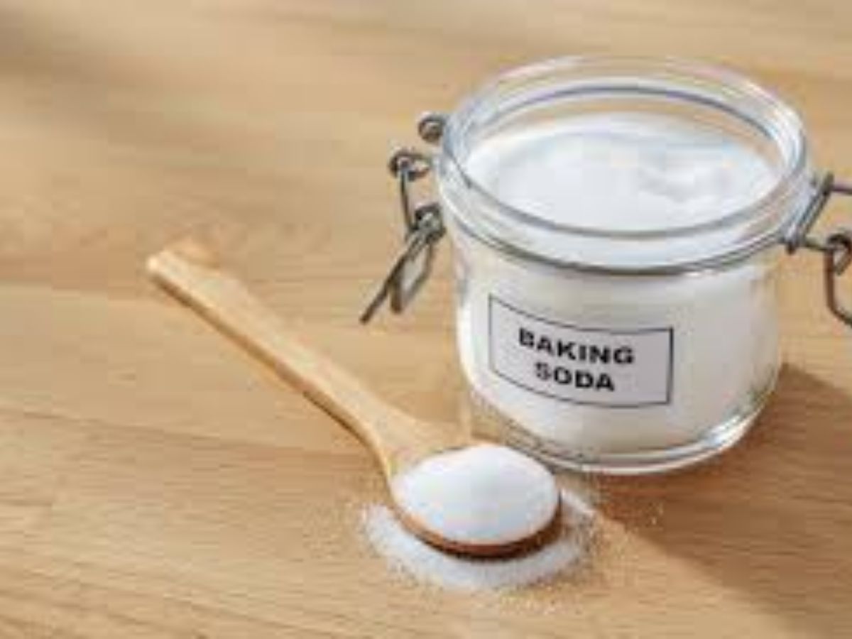 kitchen-tips-how-to-get-rid-of-ants-in-monsoon-season-using-home-remedies बारिश के मौसम में चींटियों का आतंक? अब नहीं! अपनाएं ये ज़बरदस्त उपाय - Photo Gallery