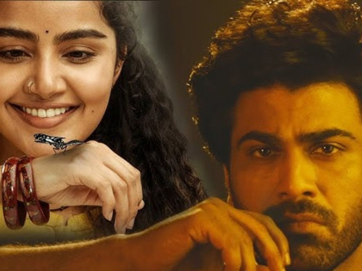 धड़क 2 से लेकर वॉर 2 तक। इस अगस्त होगा डबल धमक जब देखंगे को मिलेंगे सारी फ़िल्मों के सीक्वल। - Photo Gallery