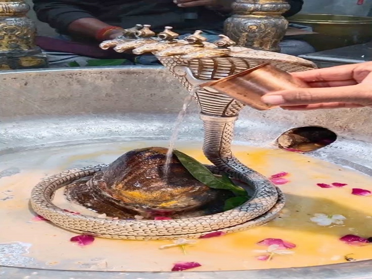 Nag Panchami 2025: इस बार नाग पंचमी पर बन रहा है दुर्लभ संयोग, जानें पूजा विधि, शुभ मुहूर्त और सावधानियां - Photo Gallery