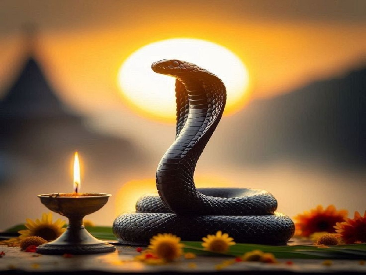Nag Panchami 2025: इस बार नाग पंचमी पर बन रहा है दुर्लभ संयोग, जानें पूजा विधि, शुभ मुहूर्त और सावधानियां - Photo Gallery