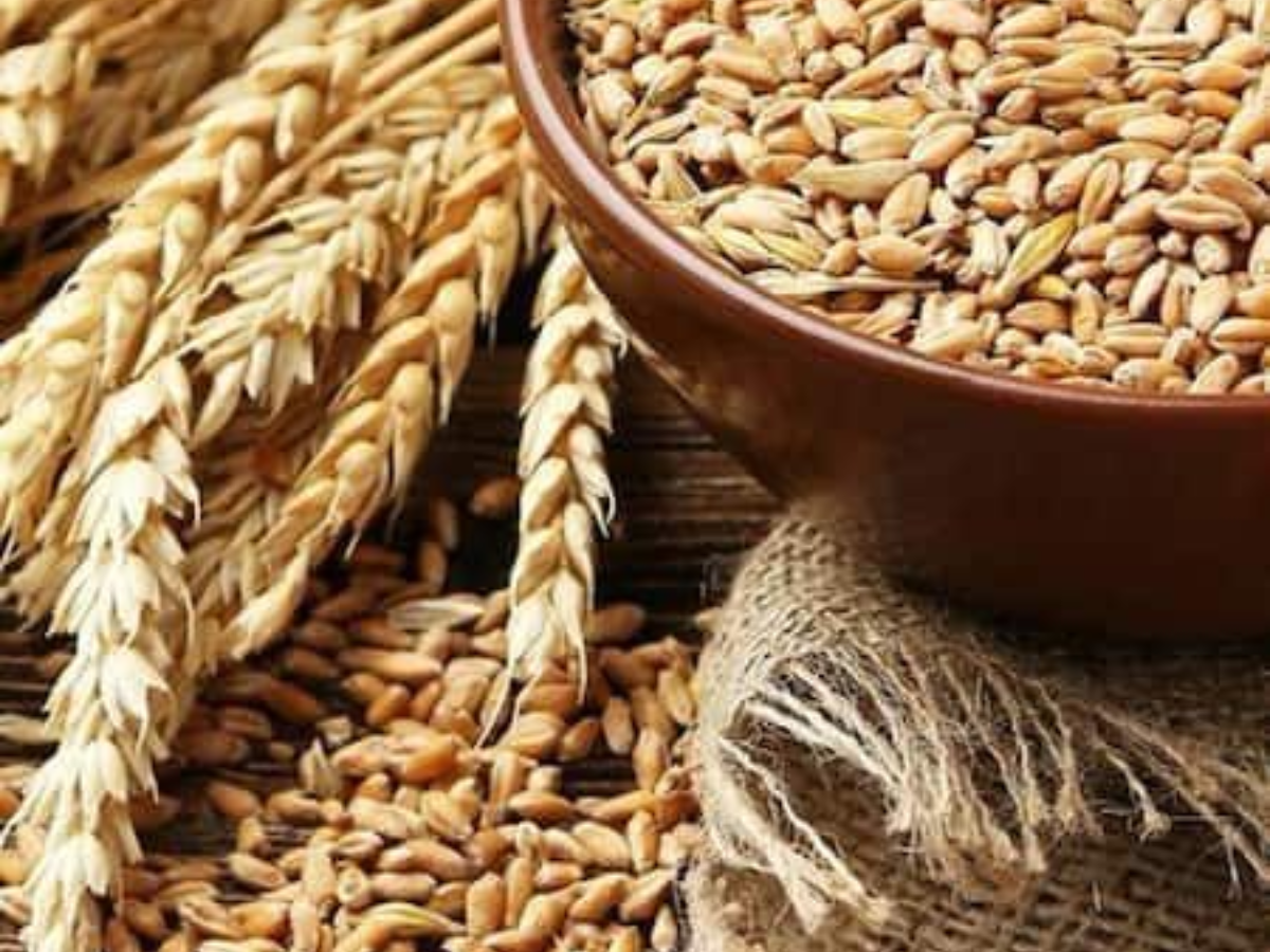 dont-ignore-these-signs-dizziness-and-fatigue-might-signal-iron-deficiency-pearl-millet-flour-finger-millet क्या आपको बार-बार चक्कर और थकान होती है? कारण हो सकता है आयरन की कमी - Photo Gallery
