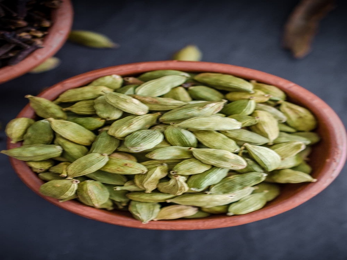 Traditional Indian Spices: कुछ पारंपरिक भारतीय मसाले जो आपको अपनी डाइट में जरूर शामिल करने चाहिए - Photo Gallery