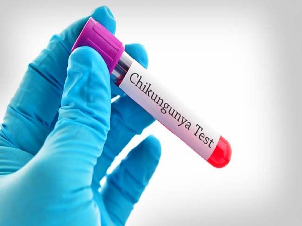 Chikungunya Symptoms: बरसात में क्यों बढ़ जाता है चिकनगुनिया? जानिए लक्षण और उपाय - Photo Gallery