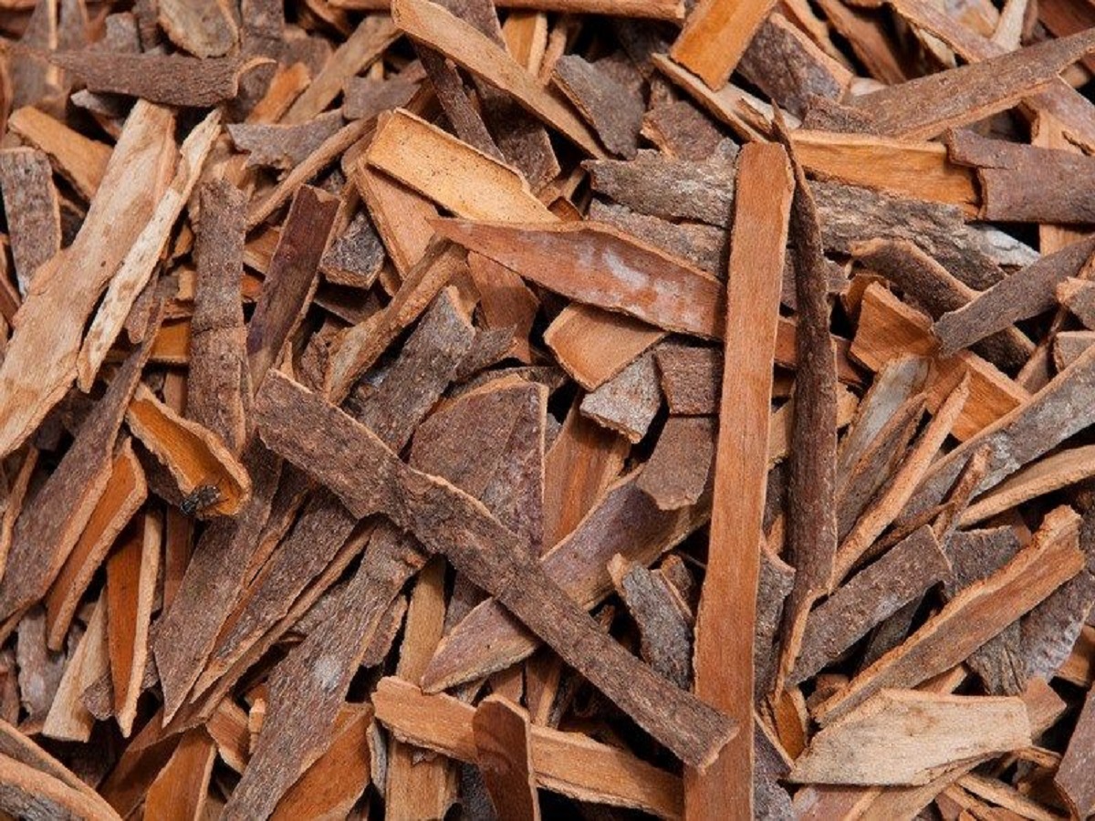 Traditional Indian Spices: कुछ पारंपरिक भारतीय मसाले जो आपको अपनी डाइट में जरूर शामिल करने चाहिए - Photo Gallery