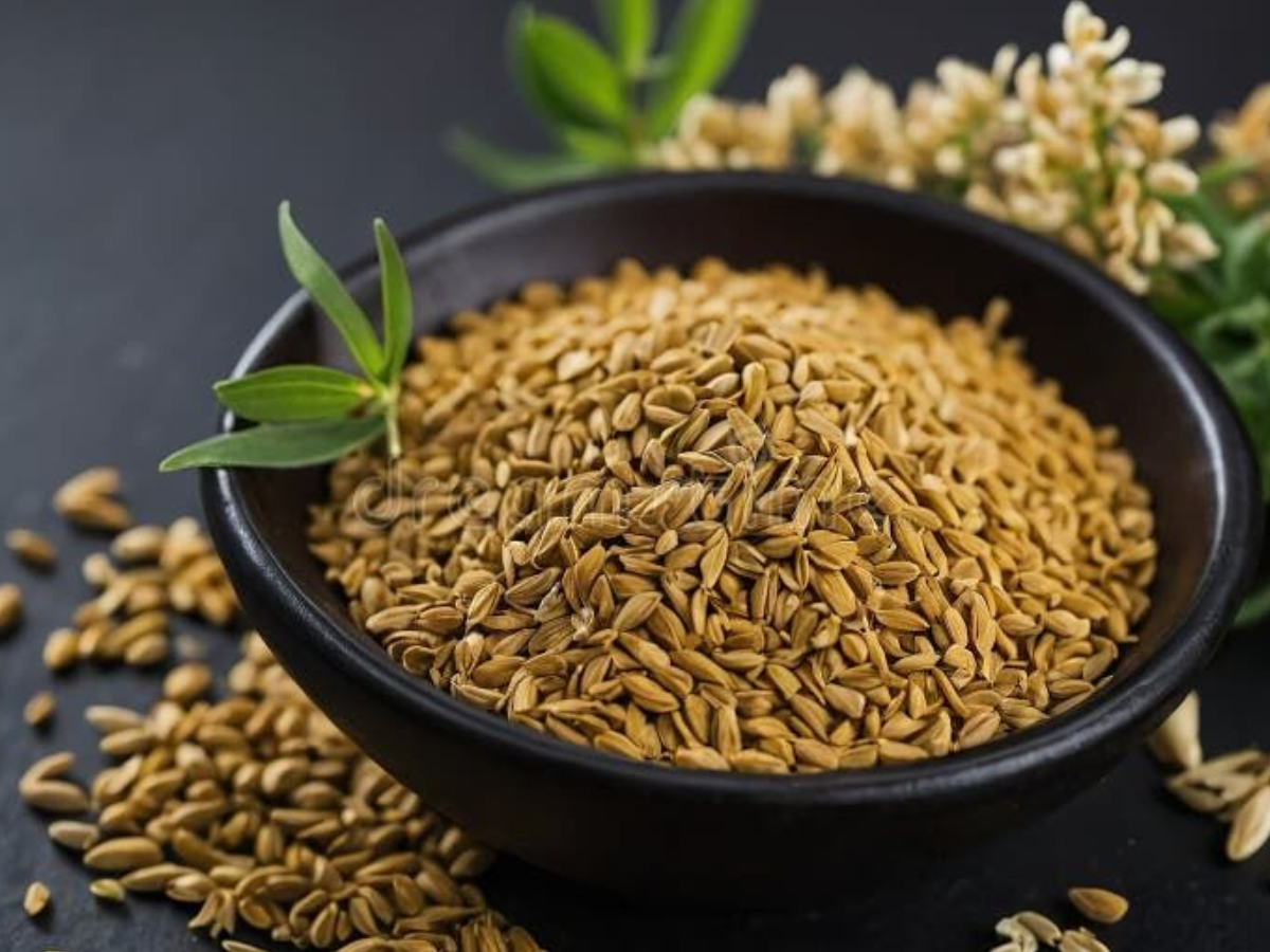 dont-ignore-these-signs-dizziness-and-fatigue-might-signal-iron-deficiency-pearl-millet-flour-finger-millet क्या आपको बार-बार चक्कर और थकान होती है? कारण हो सकता है आयरन की कमी - Photo Gallery