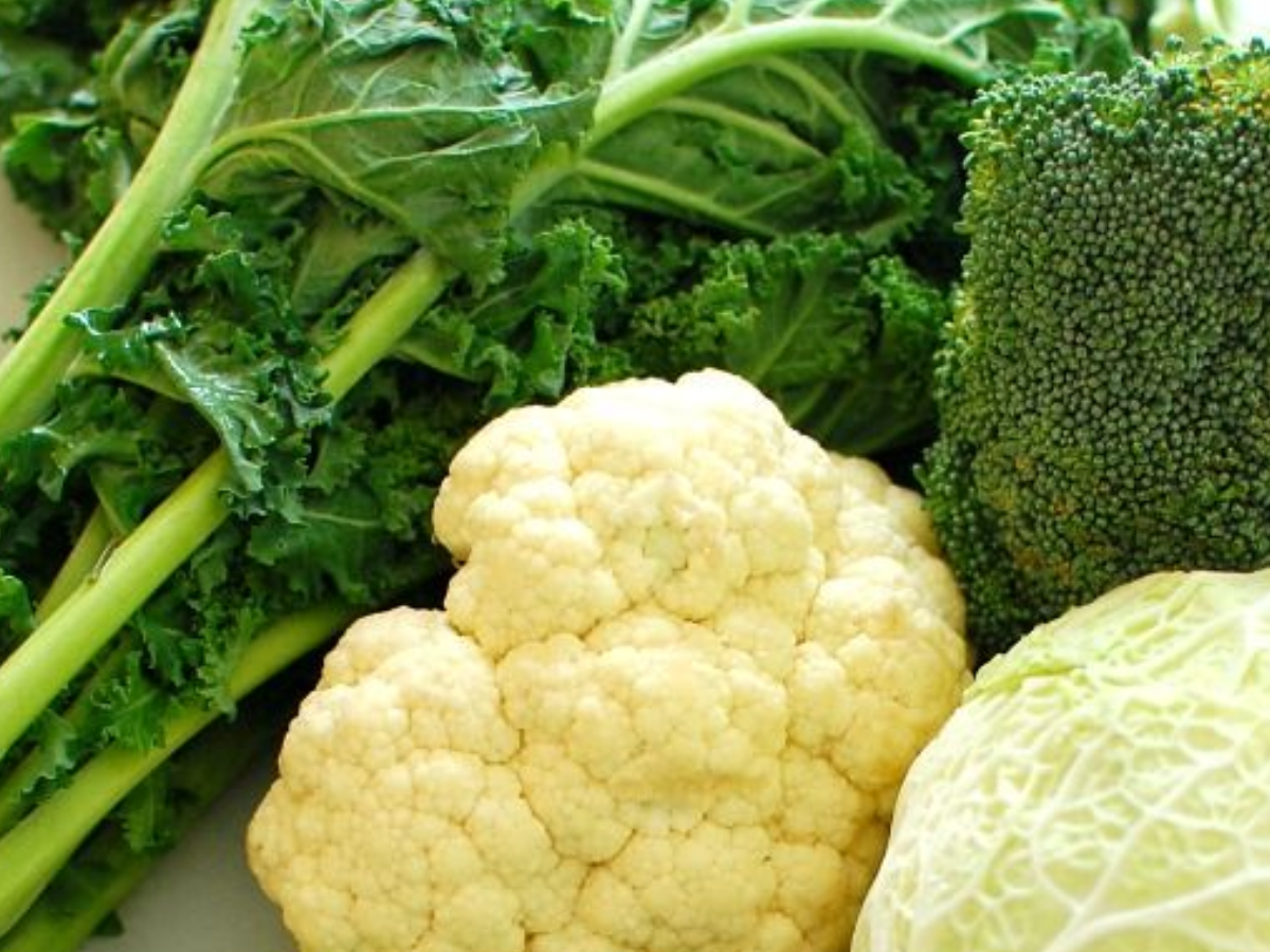 eat-these-protein-rich-options-regularly-to-support-muscle-repair-pluses-whole-grain मांसपेशियों को बनना चाहते हो मजबूत ?तो आज ही डायट मे शामिल करे ये प्रोटीन से भरपूर फूड - Photo Gallery