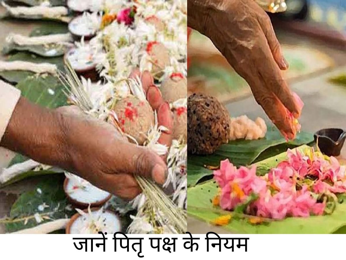 Pitru Paksha 2025: इन 5 तरीकों से पाए पितृ का आशीर्वाद, अगर रहे गई कोई चूक तो होगा बड़ा पछतावा