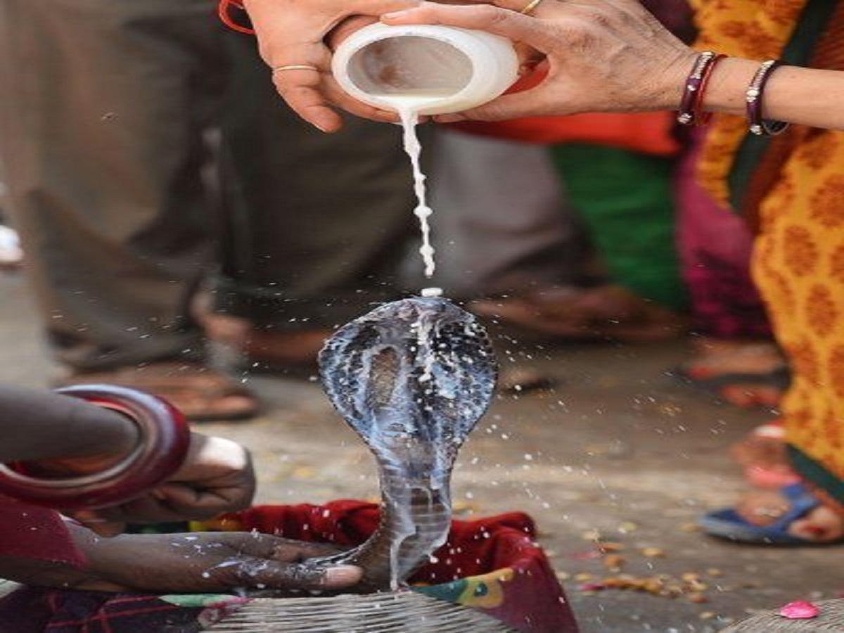 Nag Panchami 2025: इस बार नाग पंचमी पर बन रहा है दुर्लभ संयोग, जानें पूजा विधि, शुभ मुहूर्त और सावधानियां - Photo Gallery
