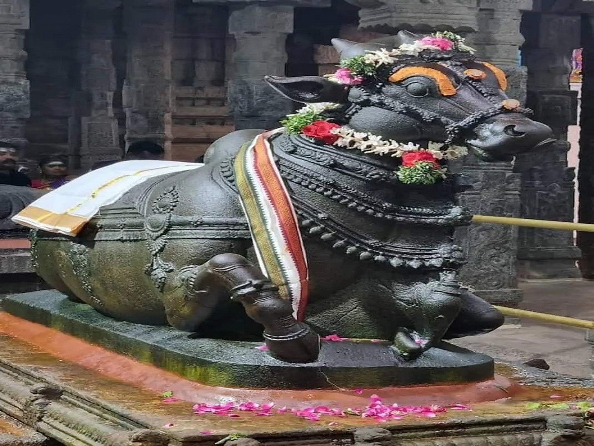 क्या नंदी के कान में बोलने से सच में पूरी होती है हर इच्छा? जानिए धार्मिक रहस्य - Photo Gallery
