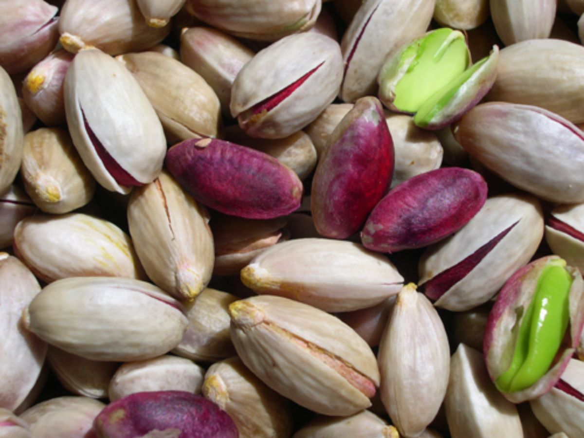 Summers 2025: इस गर्मी खाये ये dry fruits जो रखे आपकी बॉडी को कूल। - Photo Gallery