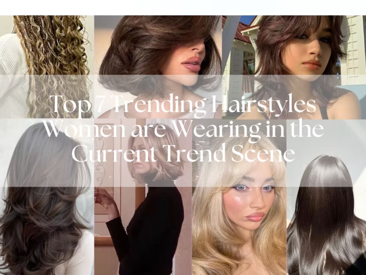 Health tips: क्या हर टॉयलेट सीट है जर्म्स का घर? अगर हाँ तो जानिए सच्चाई