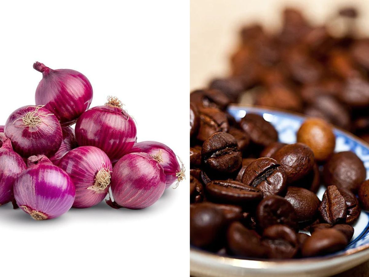 hair-care-tips-white-hair-treatment-at-home-with-coffee-and-amla-to-make-your-hair-black Hair care tips: इन तीन चीजों से बनाए अपने बालों को काला, घना और मज़बूत। - Photo Gallery