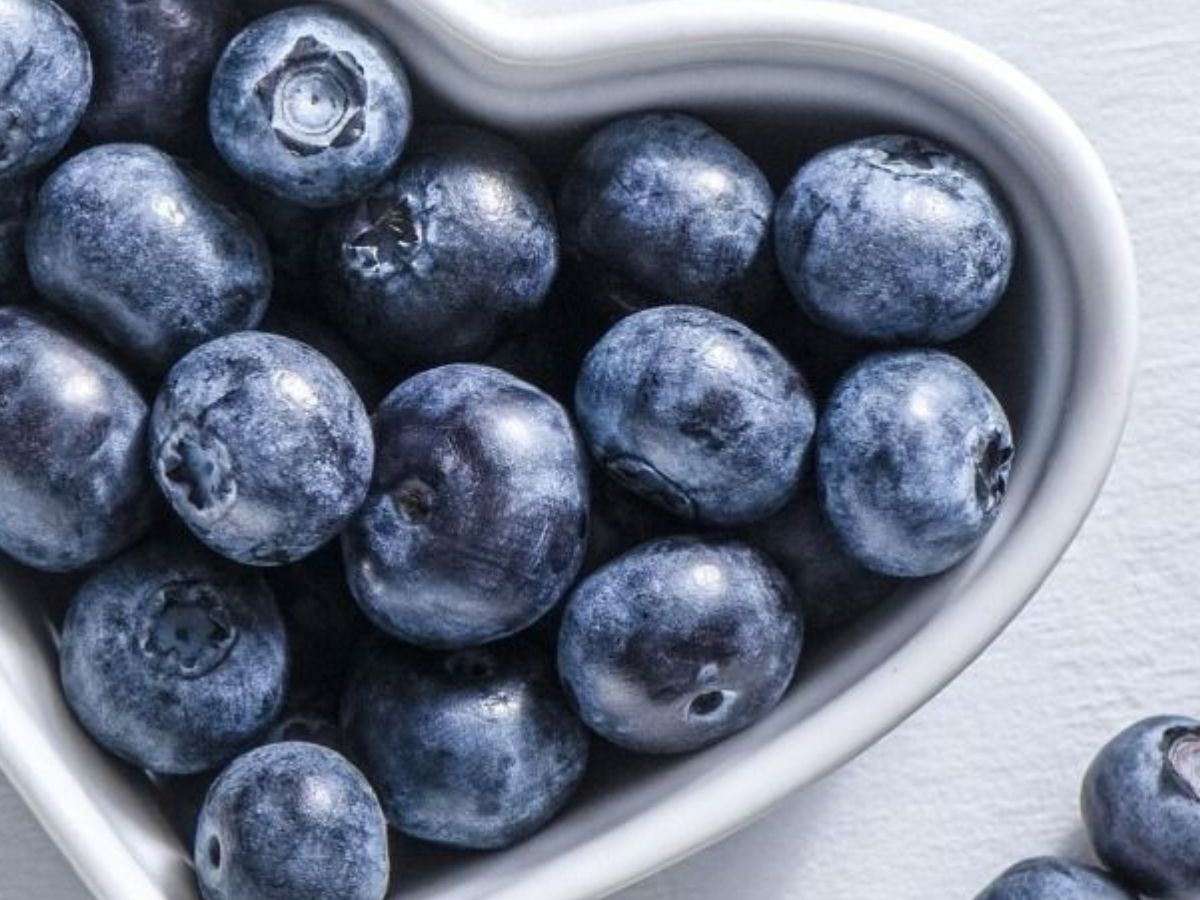 Blueberries Benefits: हेल्दी स्किन से लेकर weight loss में मदद करती हैं ब्लूबेरी, जानें और क्या – क्या हैं फायदे - Photo Gallery