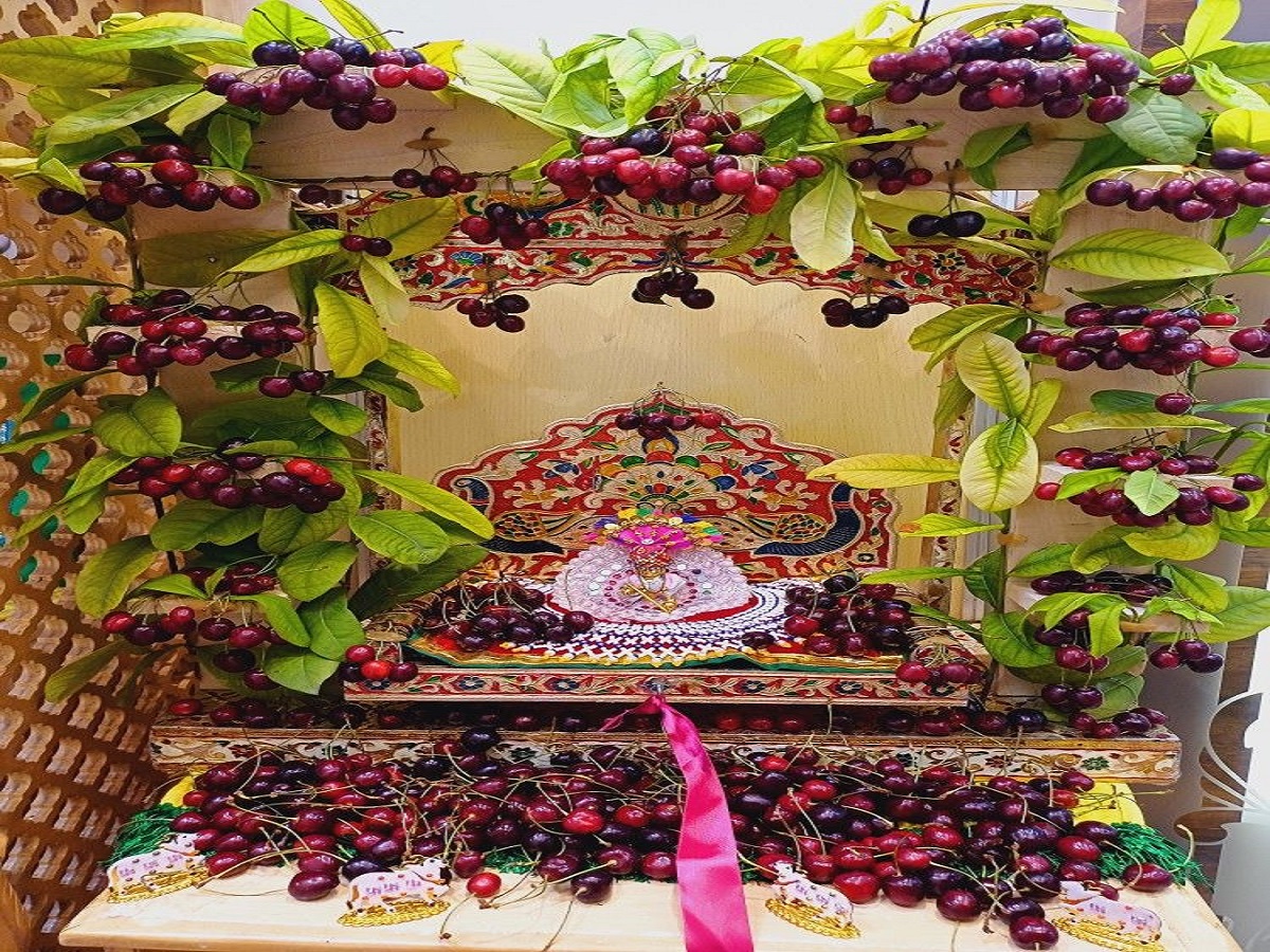 Janmashtami 2025: लड्डू गोपाल के झूले को सजाते समय अपनाएं ये वास्तु नियम, घर में आएगी सुख-समृद्धि और सकारात्मक ऊर्जा - Photo Gallery