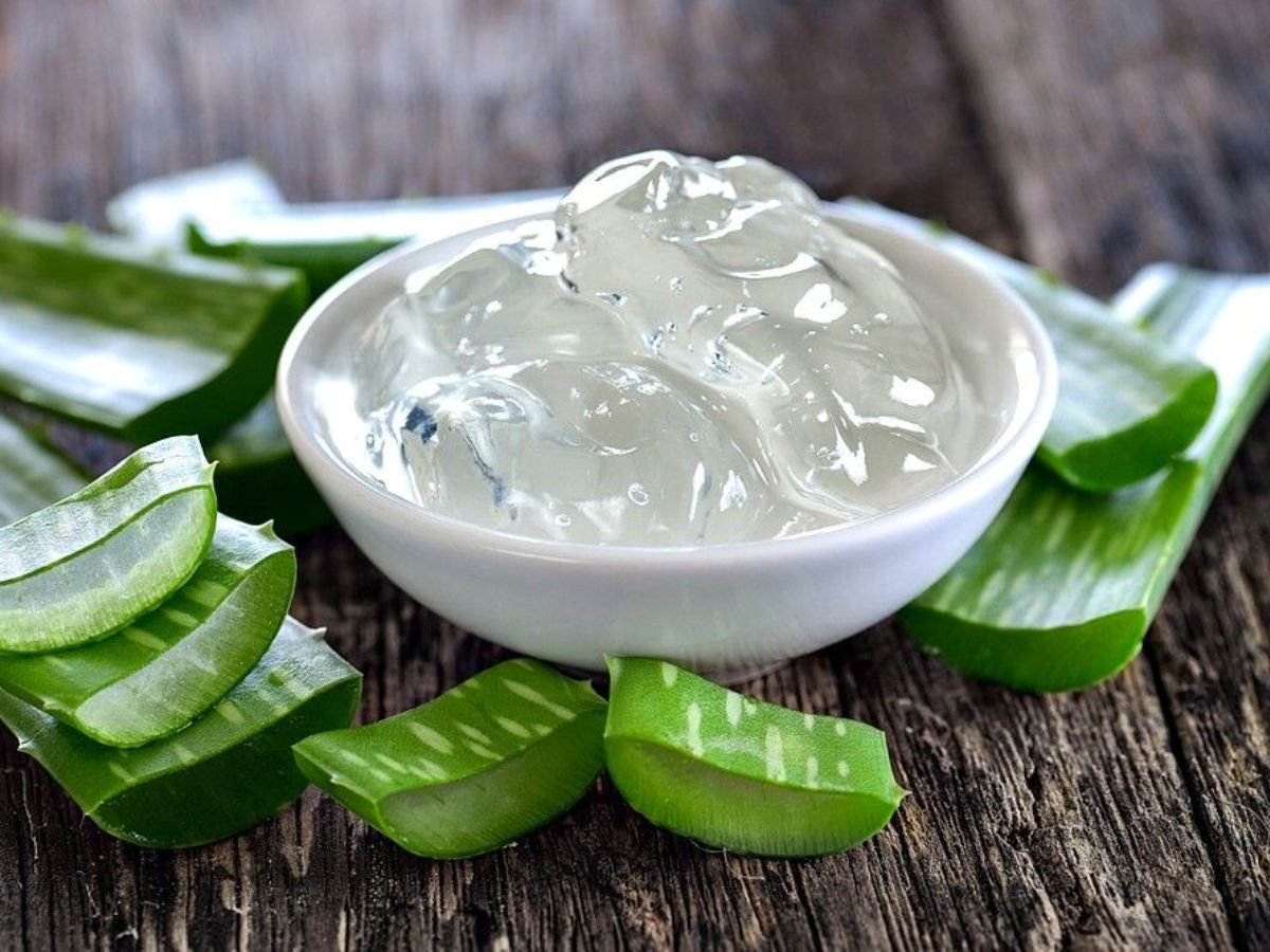 झुर्रियाँ, मुंहासों और ड्राई स्किन से पाए छुटकारा, रात भर Aloe Vera जेल लगाने से मिलेगी नेचुरल ग्लोइंग स्किन - Photo Gallery