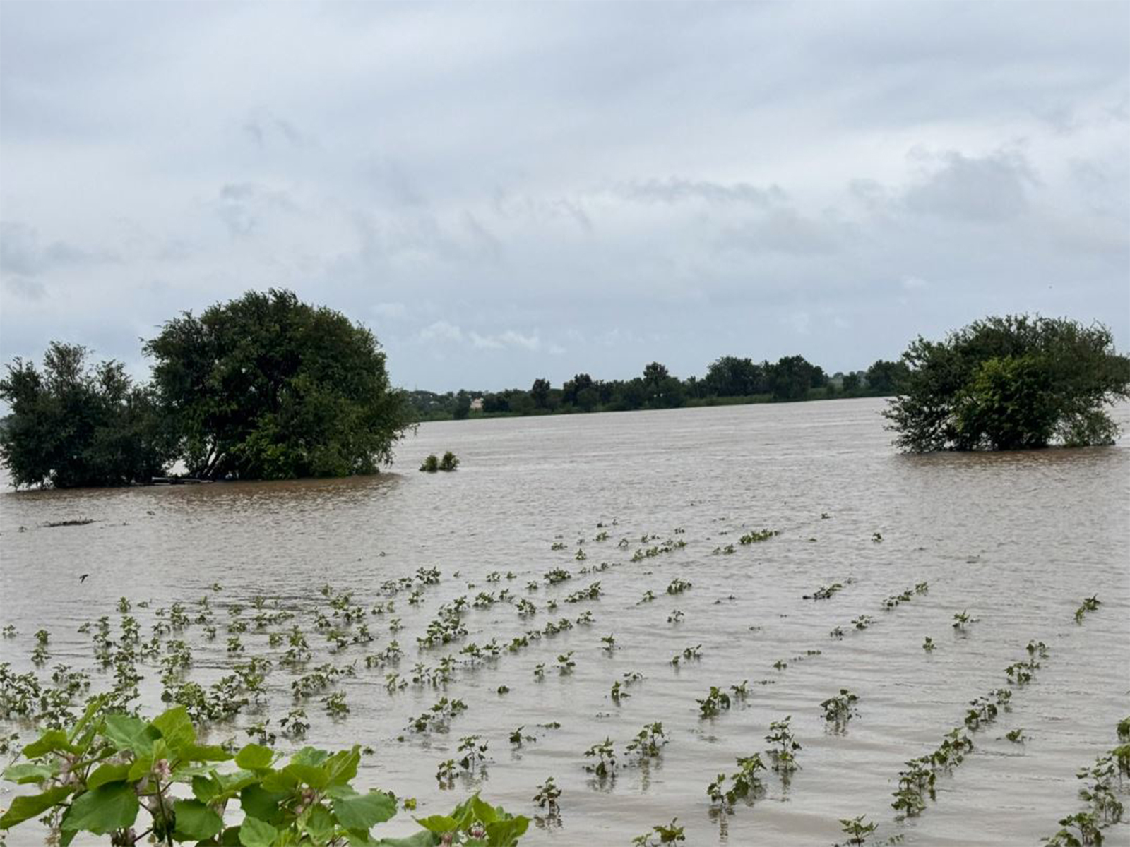 Karnataka: Schools closed for two days amid orange alert for heavy rain in Kalaburagi; Minister Priyank Kharge visits flood-affected areas
