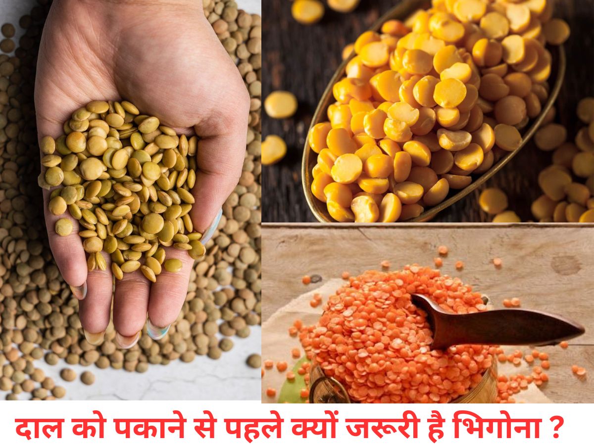 कौन-सी दाल रातभर भिगोनी चाहिए और कौन-सी कुछ घंटों के लिए? न्यूट्रिशनिस्ट ने बताया हेल्दी डाइजेशन का फॉर्मूला